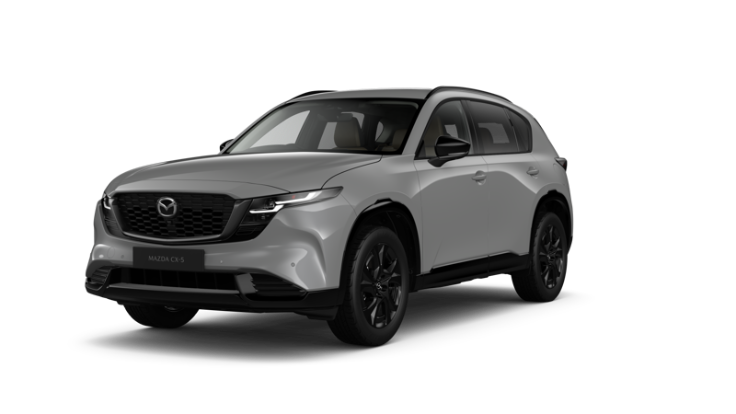 Aero Grey Metallic