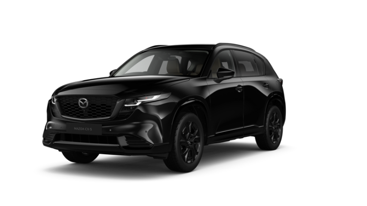 Jet Black Mica